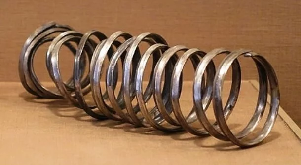 بلندترین حلقهی فلزی رد شده از داخل بینی و خارج شده از دهان