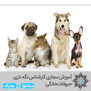 آموزش مجازی کارشناس نگه داری حیوانات خانگی