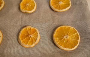 نحوه خشک کردن تکه های پرتقالنحوه خشک کردن تکه های پرتقال